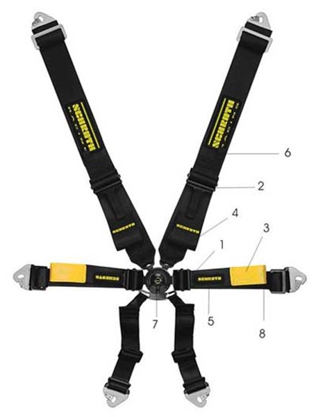 Picture of Schroth Enduro Belts